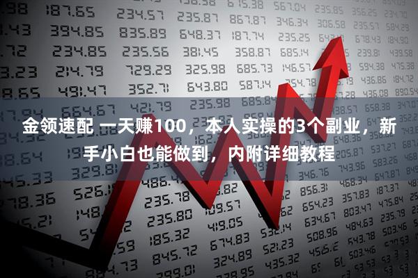 金领速配 一天赚100，本人实操的3个副业，新手小白也能做到，内附详细教程