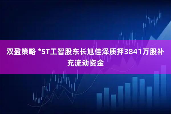 双盈策略 *ST工智股东长旭佳泽质押3841万股补充流动资金