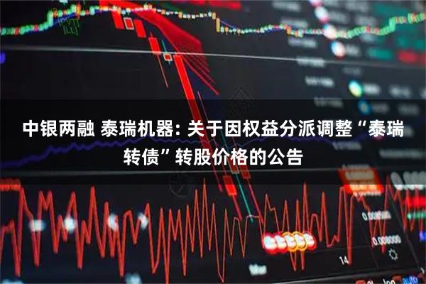 中银两融 泰瑞机器: 关于因权益分派调整“泰瑞转债”转股价格的公告