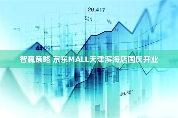 智赢策略 京东MALL天津滨海店国庆开业
