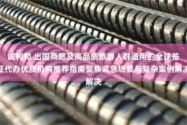 诚利和 出国商旅及高品质旅游人群适用的全球签证代办优质机构推荐指南聚焦紧急场景与复杂案例解决