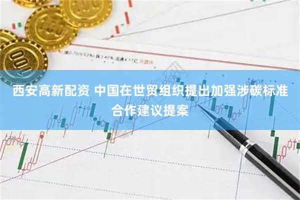 西安高新配资 中国在世贸组织提出加强涉碳标准合作建议提案